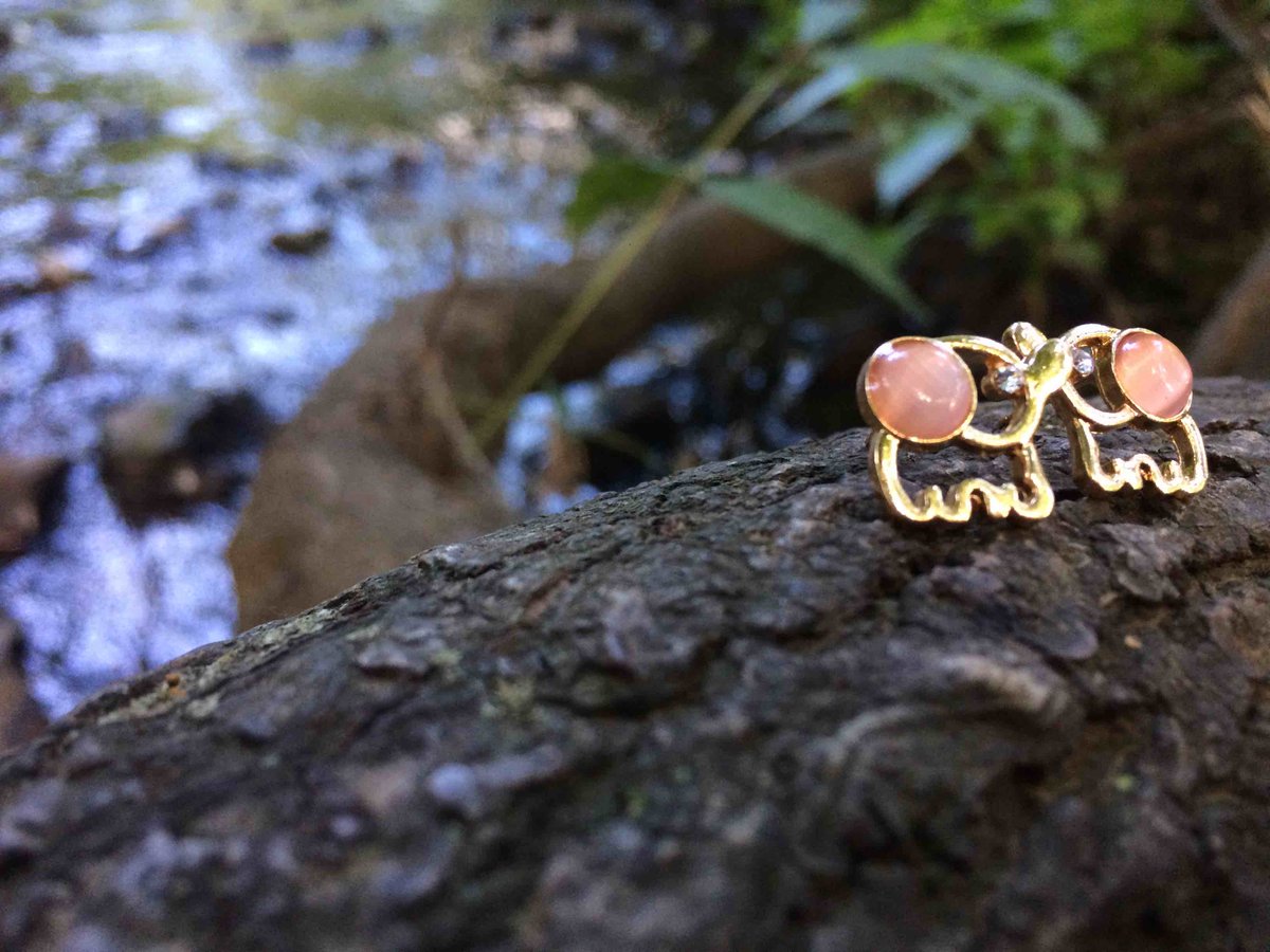 CoraLifeSupport's tweet photo. Happy #WorldElephantDay! 

Get your elephant earrings today! http://t.co/yE3Y0pxTKp http://t.co/vVnyDoKo0u