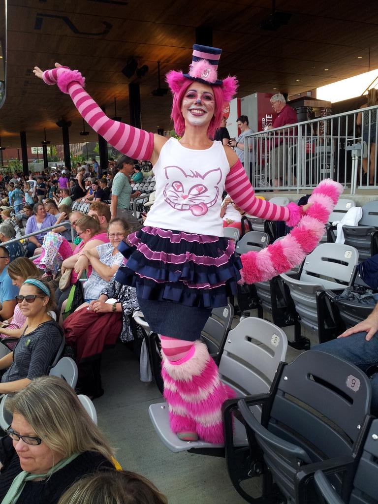 #catvidfest tweet media