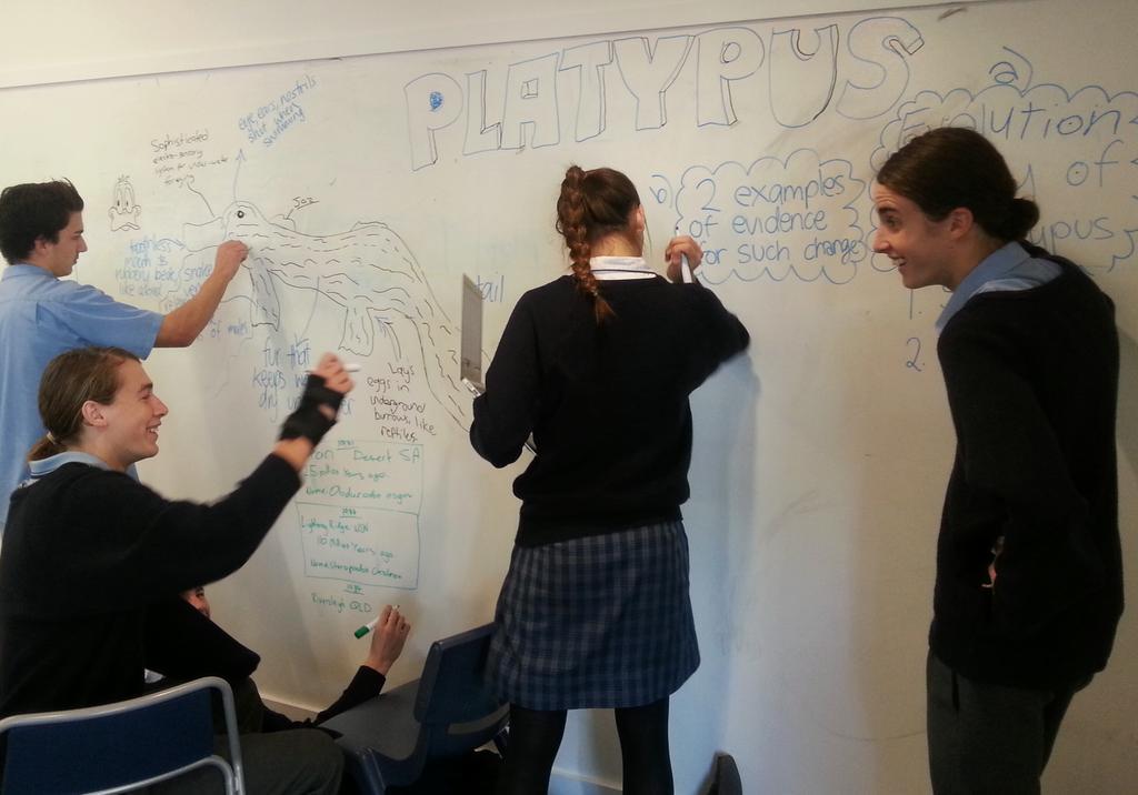 eduruminate's tweet image. Platypus adaptation and evolution #collaborative_learning #scied #prelimbio #nbcs