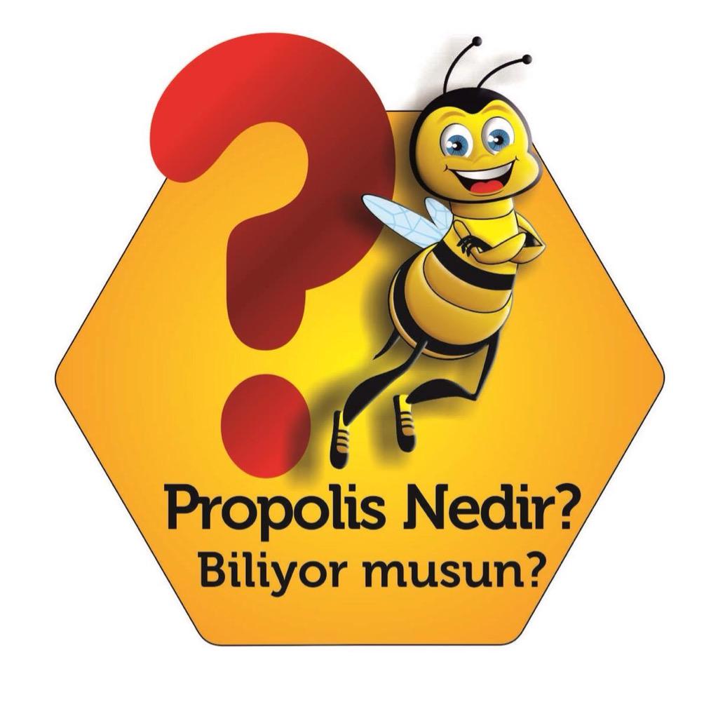 Bee You Propolis Extrakt Tinktur 20 30 Ml Kaufen