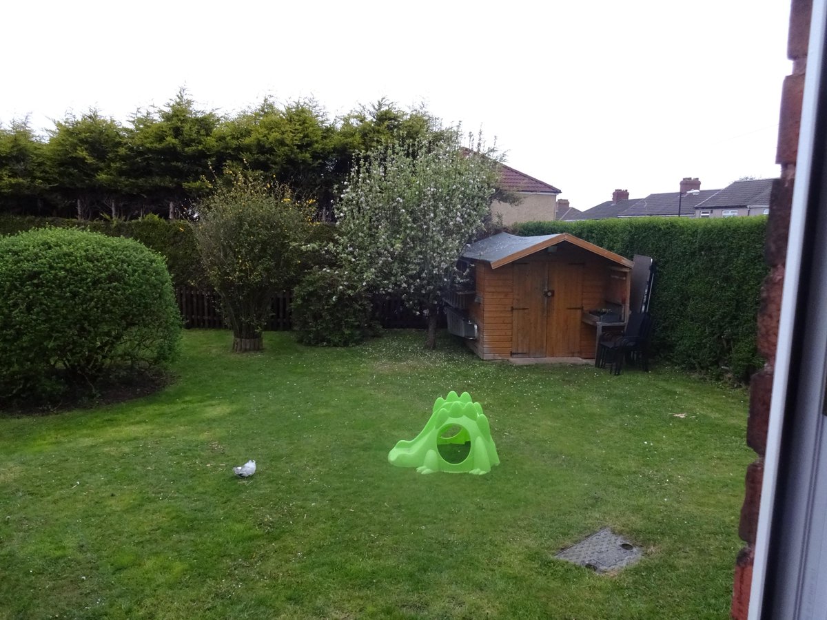 gethro001's tweet photo. @ToolTray boy do I need a good Hedge trimmer #winwednesday #Makita http://t.co/foDhushjR2
