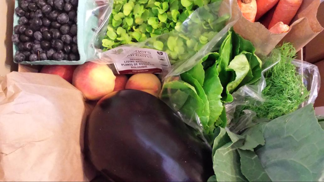 RuralRouteOrg's tweet image. Delivery Day!