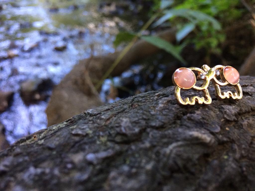 CoraLifeSupport's tweet photo. Happy #WorldElephantDay!
#ShopCoraLife
http://t.co/rZSP43F3b3 http://t.co/S3gmNKC9ON