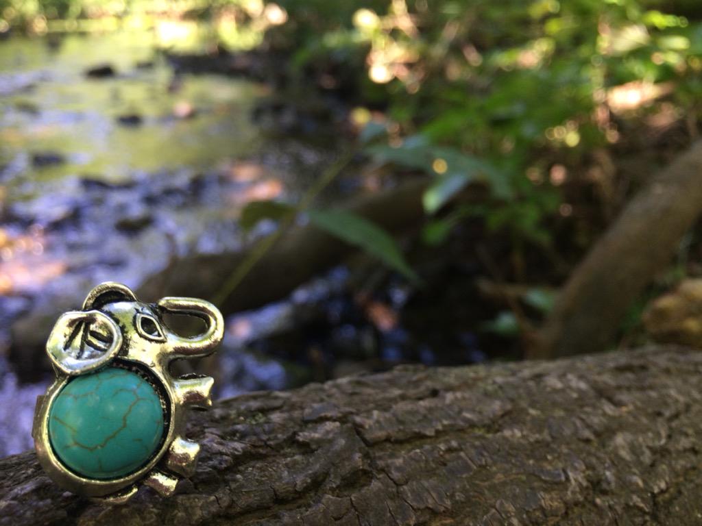 CoraLifeSupport's tweet photo. Happy #WorldElephantDay!
#ShopCoraLife
http://t.co/rZSP43F3b3 http://t.co/S3gmNKC9ON