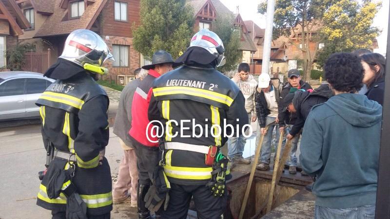 CEBioBio's tweet photo. Concepción, bomberos trabaja en rescate de caballo desde poza inspección eléctrica. Fotos @CEBB_791 http://t.co/QAaK02ip0n