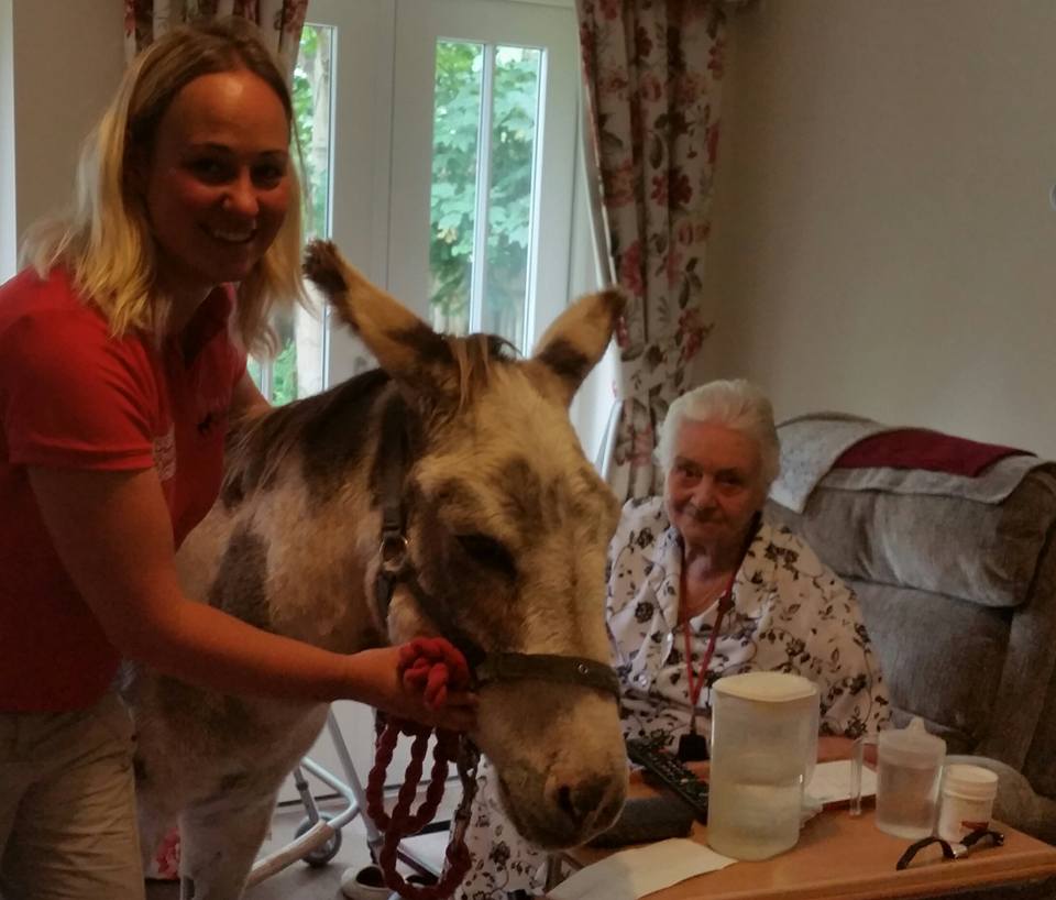 Danny Donkey & Pals tweet media