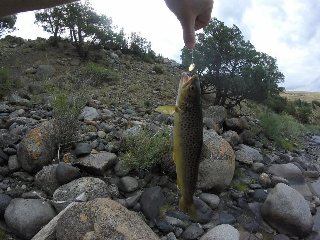 alexmoore174's tweet photo. Slaying some trout! http://t.co/N2z4cJj3iv