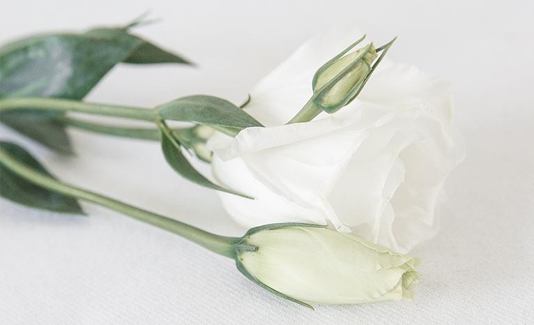 "I had a miscarriage." <a href="/jcfairchild22/">Jourdan Fairchild</a> shared her strong story: bit.ly/1L6zVJg