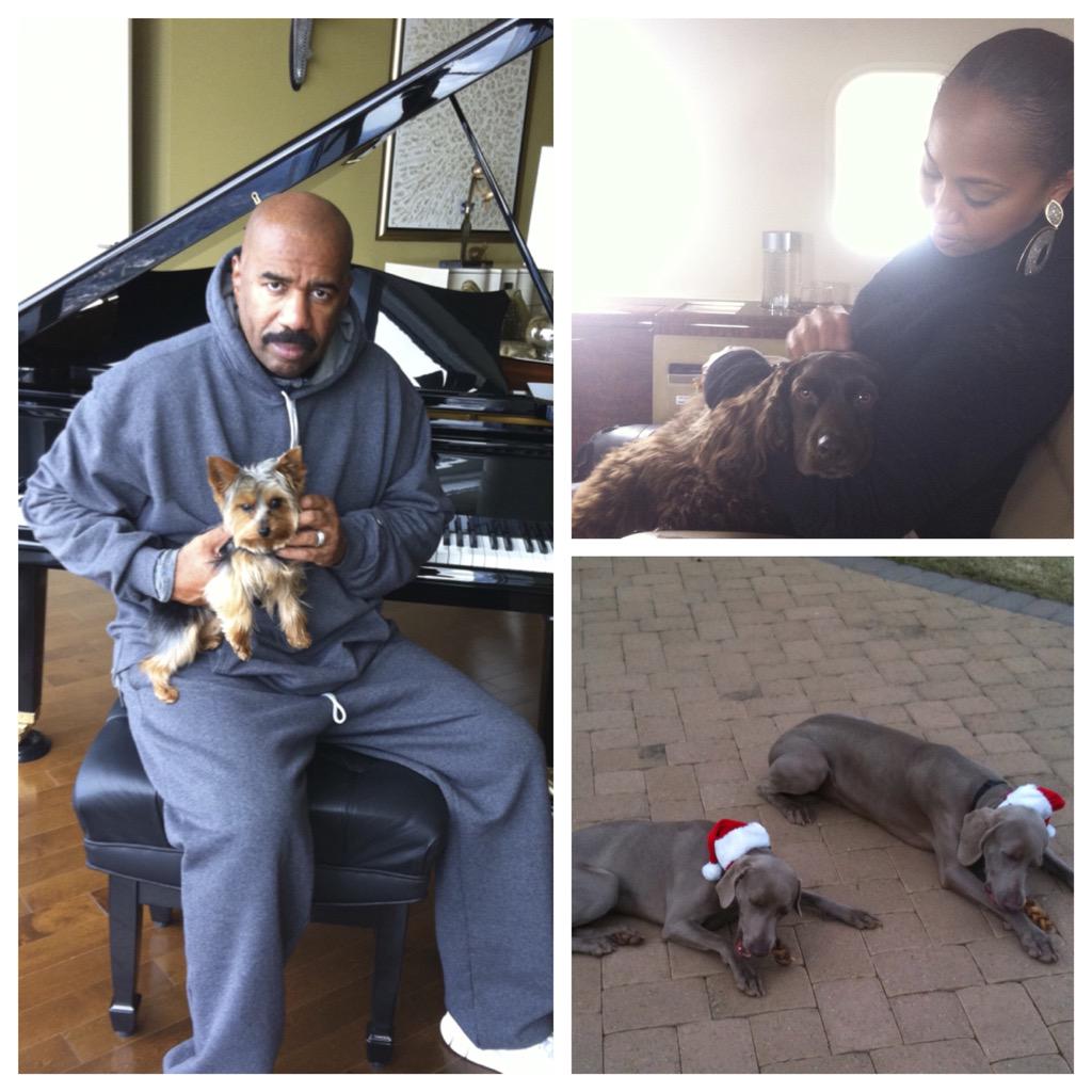 IAmSteveHarvey's tweet photo. #ClearTheShelters this Saturday, August 15 with my partners at @nbc http://t.co/k6pyoLAOIe