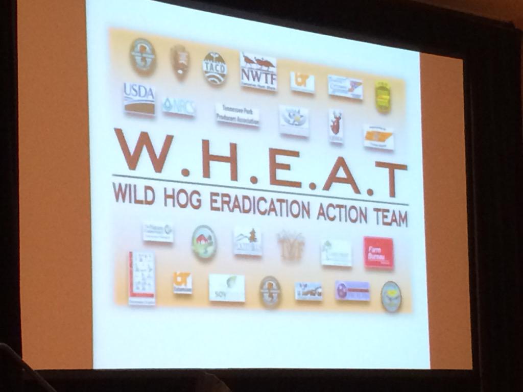 KevinHensley's tweet photo. Jim Bledsoe explains the WHEAT Initiative at #tnprescon15. Many groups want to see the end of #WildHogs in TN! http://t.co/Fxn7iyiQoj
