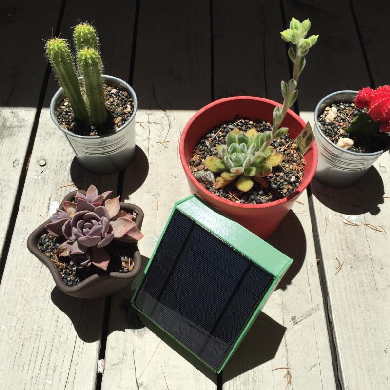 SunSpotsSolar tweet picture