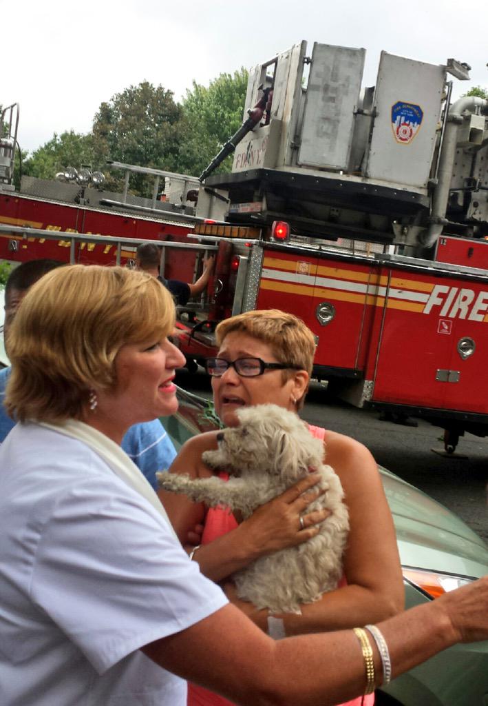 FDNY's tweet photo. Yesterday, #FDNY #Queens #Ladder138 members helped this lucky pup at an all-hands fire; no humans were injured. http://t.co/s9OWIjlzra