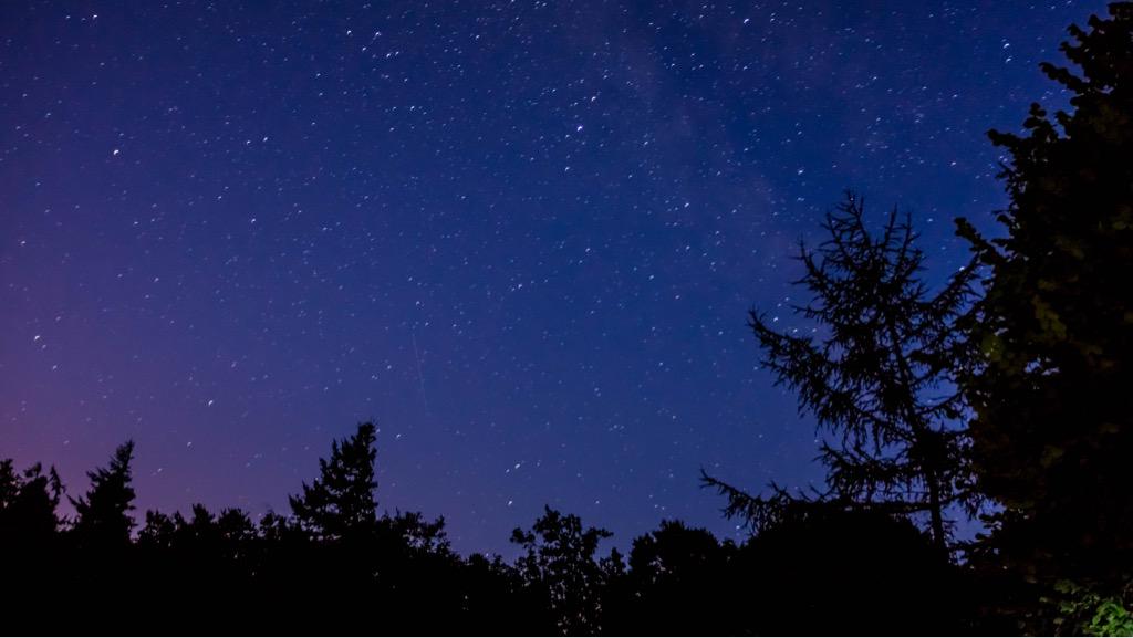 HoldenCreative tweet media