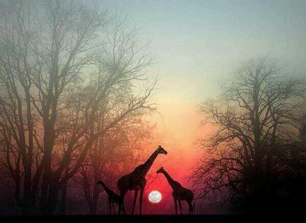 _Paisajes_'s tweet photo. Una vista espectacular. http://t.co/qnOZDZyL3W