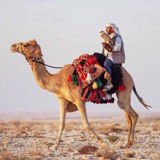 saeeg83's tweet photo. بنسوقهآ في رجى اللي مالنآ غيره ! 
خلآق الانفس ، وكافلهآ ، ورازقهآ http://t.co/WnS59RzTG1