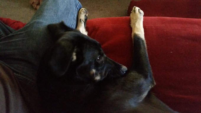 My baby boy snuggling with me :) http://t.co/xVAzZC5NwO<a href="/tag/lazyday"class="tags"><span>#lazyday</span></a>