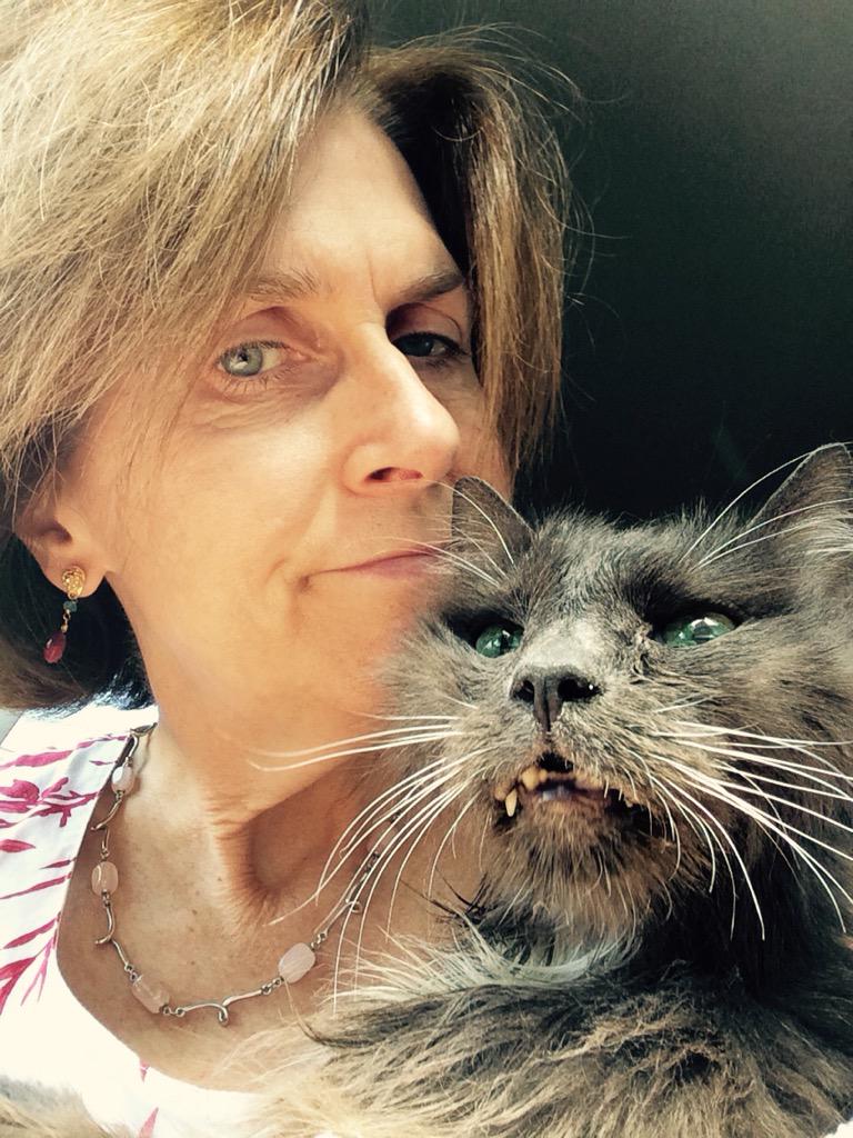 MrMoeCat's tweet photo. Signing off. Be good to each other. Thank you @thebouncingbird for my #bottomofcagerescue beginning #finalselfie http://t.co/xuc48bnTvY