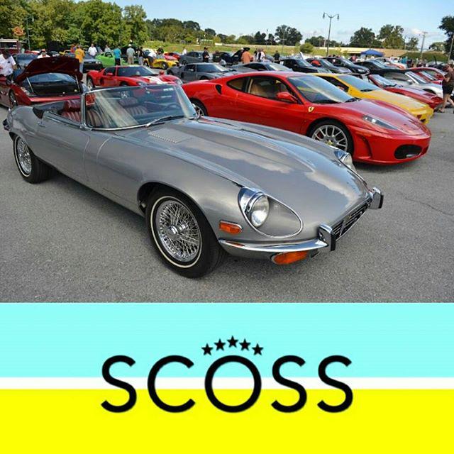 OnlyFerrariPics's tweet image. Counting down the days!

Register for August 22nd, 2015
ift.tt/1L4eGVE

#scoss #charitycarshow #ferrari45…