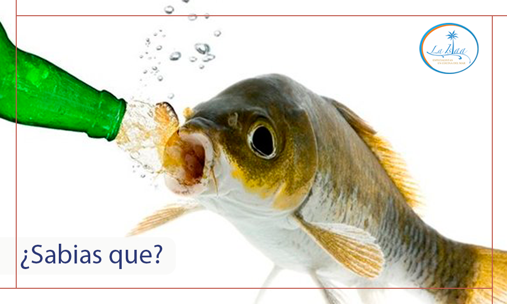 Restaurante La Islaa tweet media