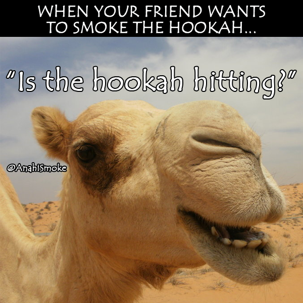 AnahiSmoke's tweet photo. #HappyHumpDay from #AnahiSmoke
#Humpday #GlassHookah #FunnyMeme #HookahMeme #Hookah #HookahTime #HookahSesh #Anahi http://t.co/MMyKcTQuZ5