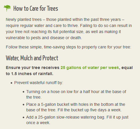 4SeasonsTree925's tweet image. #BrushChipping #TreeCleaning #SanRamonTreeServices