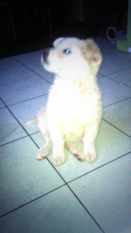 ailed343's tweet photo. . Jango!!!  I love you. <3 http://t.co/8za2QFjAwW