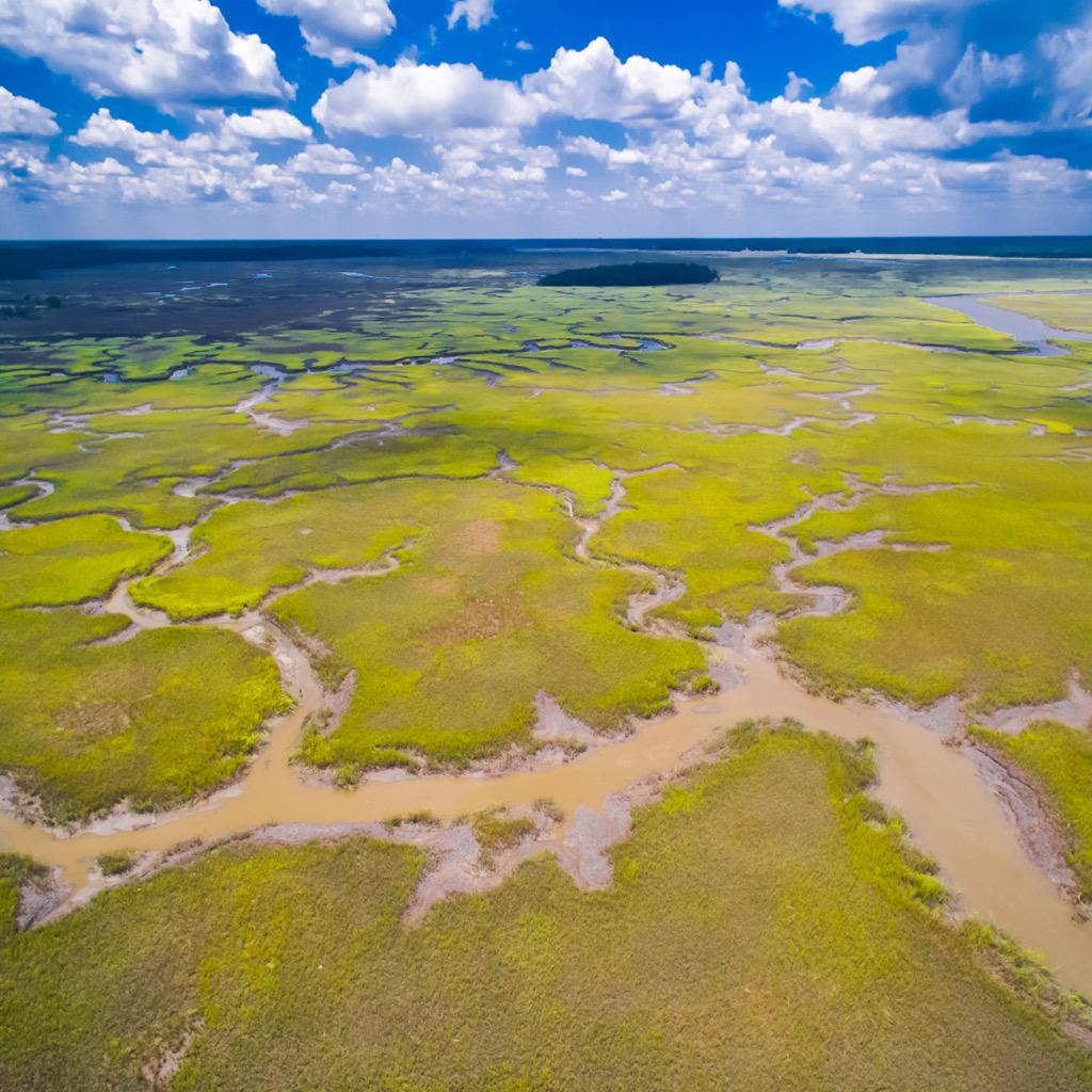 nimbusmediakc's tweet image. Swamped with solutions to your aerial needs. 🐊🌾#GeorgiaKeys