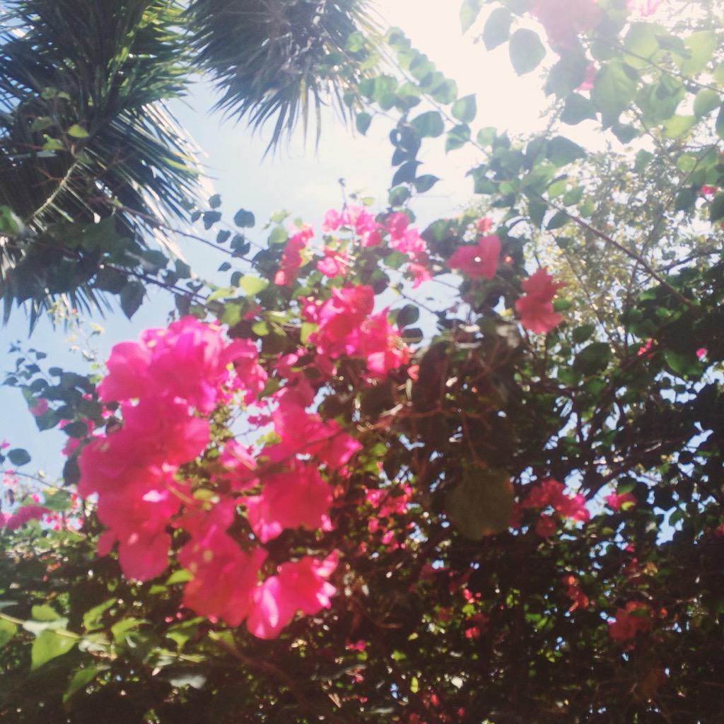 Blurred vision with dizzying color. I live in Paradise. #miami