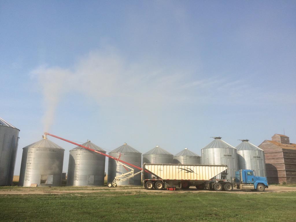 Maloney_Farms's tweet photo. #Load1 Day 1 of Harvest 2015. #MFHarvest15 for all the happenings:) Stay Safe! http://t.co/TlGRANBqub