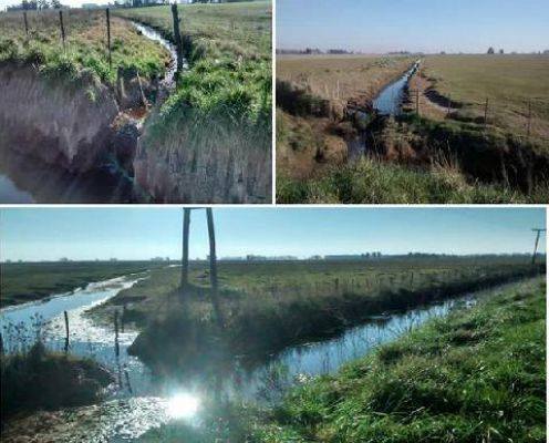 alfrekava's tweet photo. Gracias sojeros de la provincia por sus canales y ayudar a inundar los pueblos #TodosSomosElCampo #TodosSomosBoludos http://t.co/Zum4gcPaWA