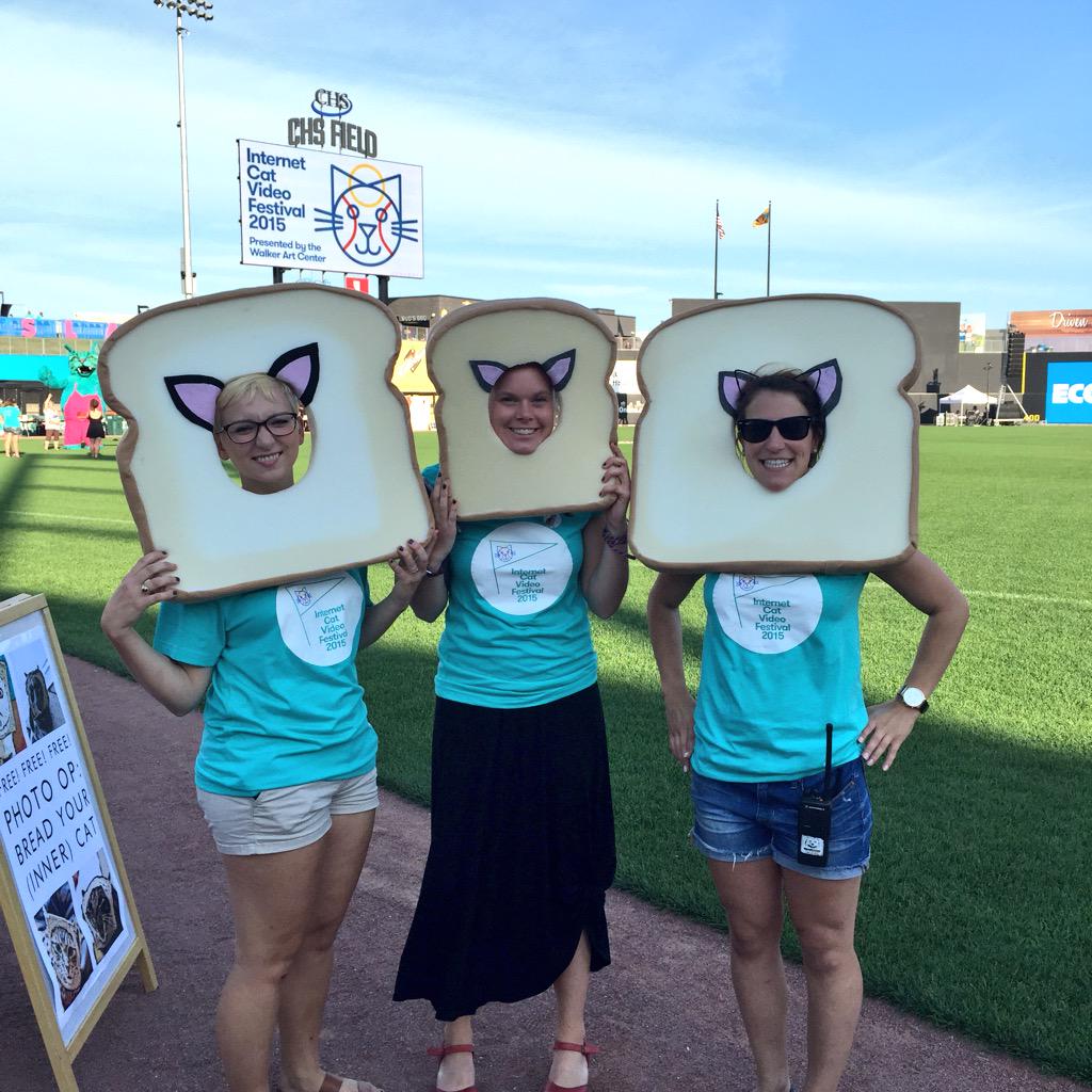 #catvidfest tweet media