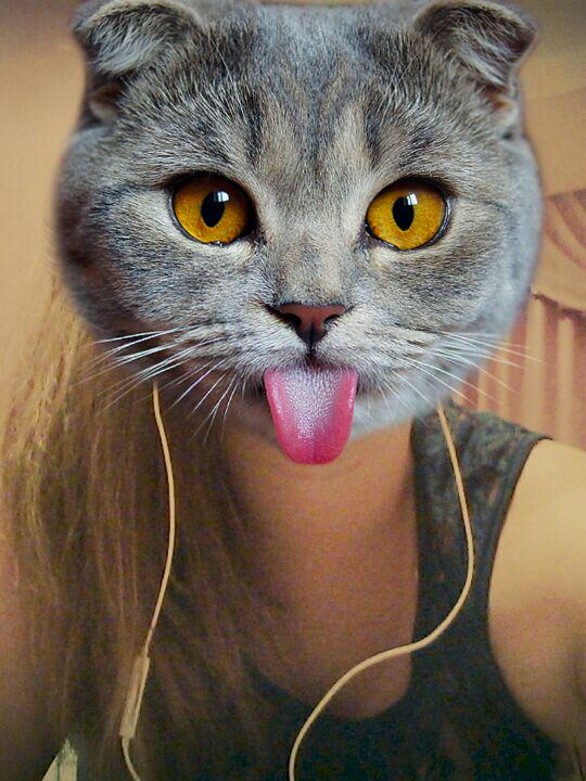 Lqrbu9K0f915pG6's tweet photo. #cat #catsapp #meow #😽😻💟 http://t.co/tfqz4h3d1D