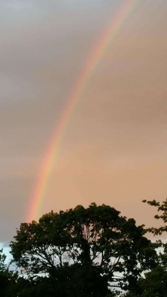 lidasuarez128's tweet photo. Rainbow over 2612. Looking for the pot of Gold! http://t.co/F8t4azAtX6