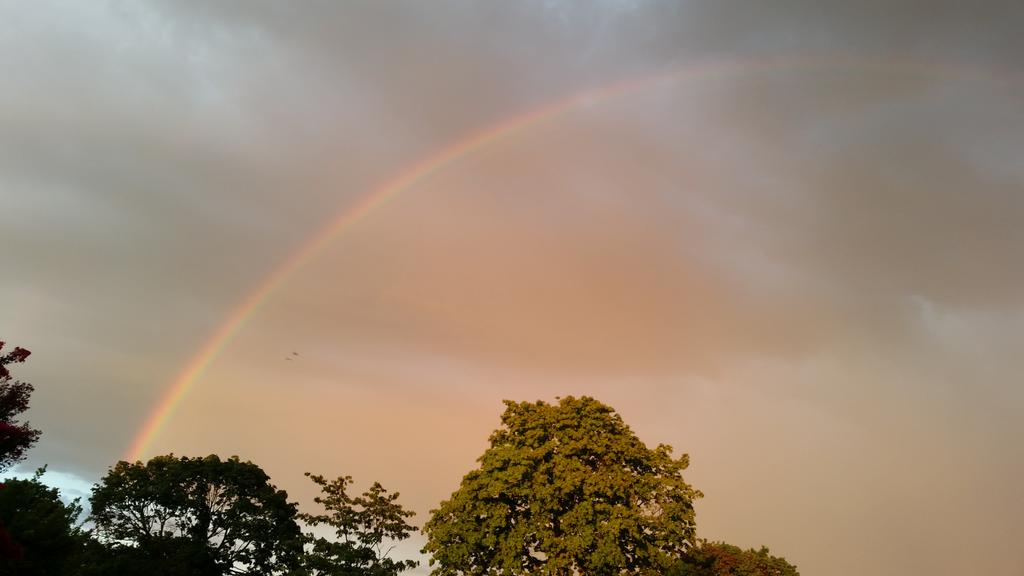 lidasuarez128's tweet photo. Rainbow over 2612. Looking for the pot of Gold! http://t.co/F8t4azAtX6