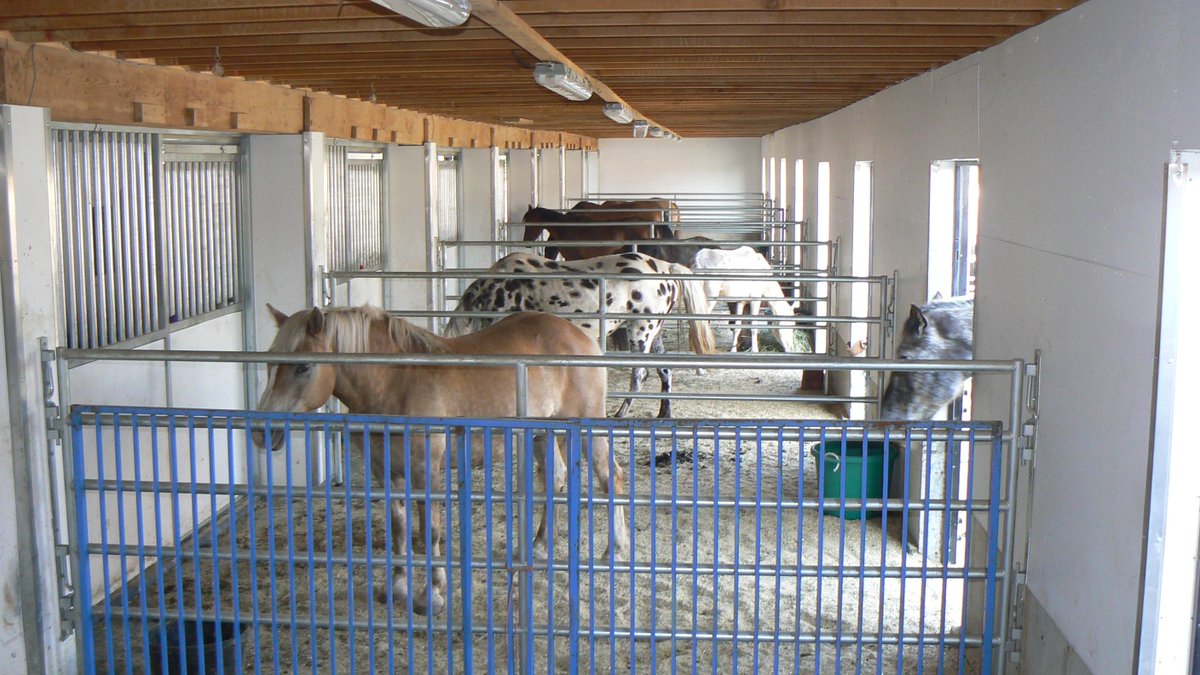 BC_SPCA's tweet photo. Yesterday we seized 57 animals following an investigation. Find out more &amp; how you can help: http://t.co/02Qw34OeBp http://t.co/QsClc0SKCN
