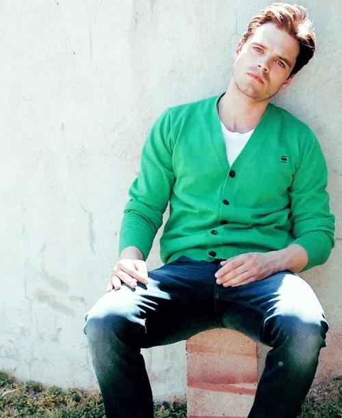 Happy birthday baby smooth buttchin sebastian stan thank you for ruining our lives 