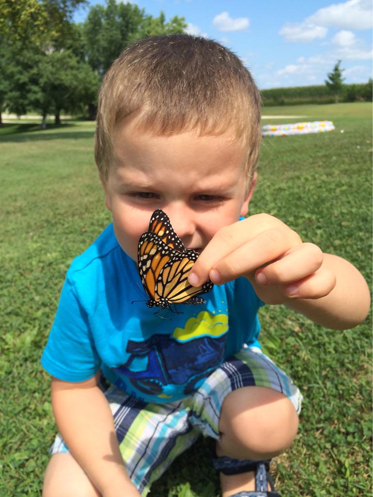 MrsScholtens's tweet photo. First of 6, it's a girl! #monarchwatch http://t.co/29wcSQFjRW