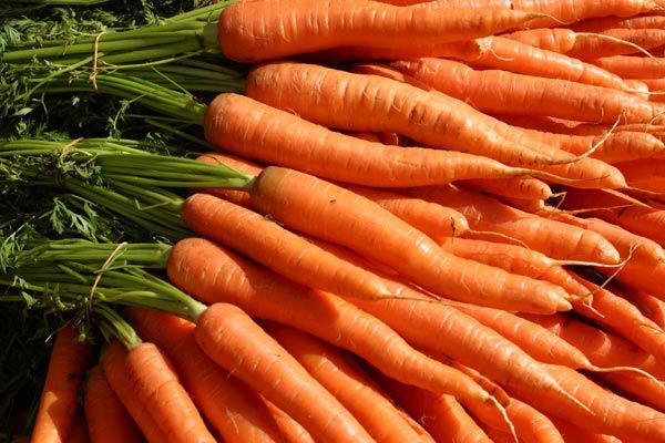 LaserEyeSV's tweet photo. Do Carrots Really Improve Your Vision? http://t.co/N919iwlp1H
#EyeNutrition #Healthcare #VisionSupplements http://t.co/hEyZQikecN