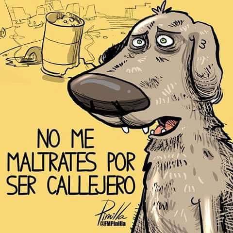 Almanimalista's tweet photo. No me maltrates por ser callejero! Necesito de tu ayuda! http://t.co/fX3D70GJWt