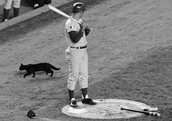 Rottchamp's tweet image. @Mase2410 @jcaf99 @metsgirl_5 @Keith_A_20 #metsmagic