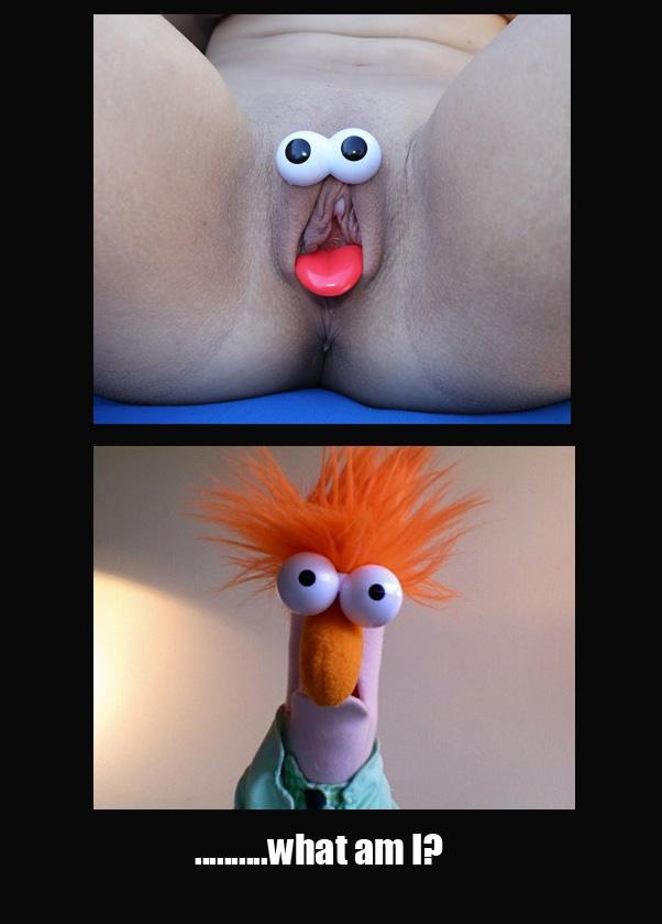 SwitchCraft420's tweet image. 