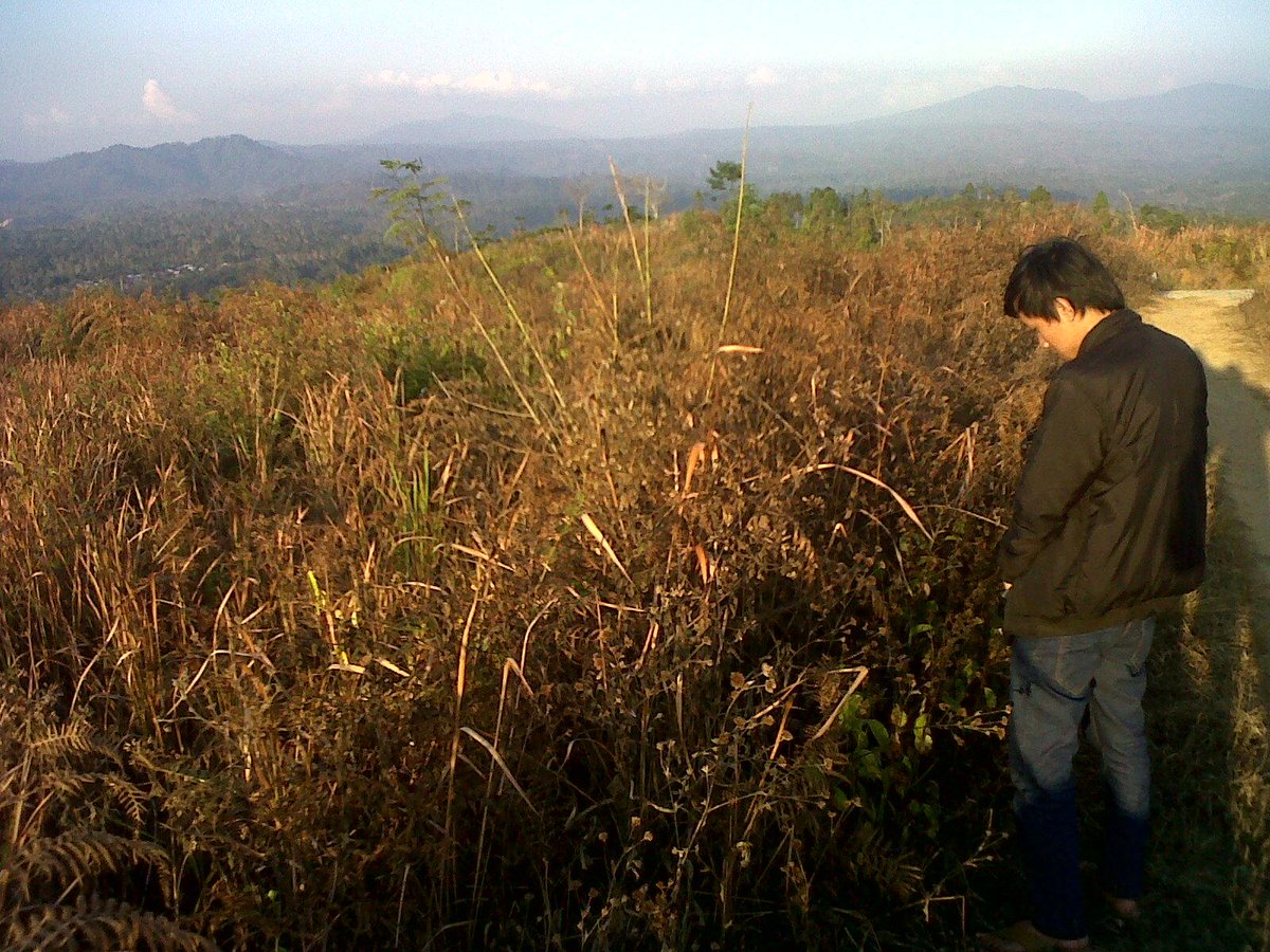 erikgamus (@erikgamus) on Twitter photo 