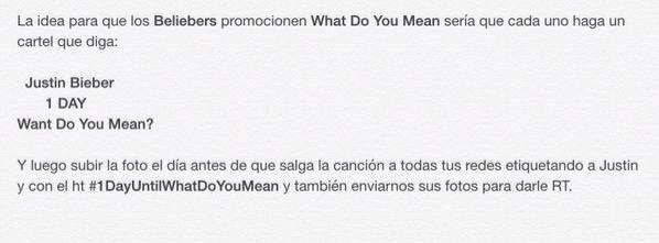 BiebasCrew's tweet image. Asegúrate de hacer tu cartel! RT para que los demás lo vean #MTVHottest Justin Bieber