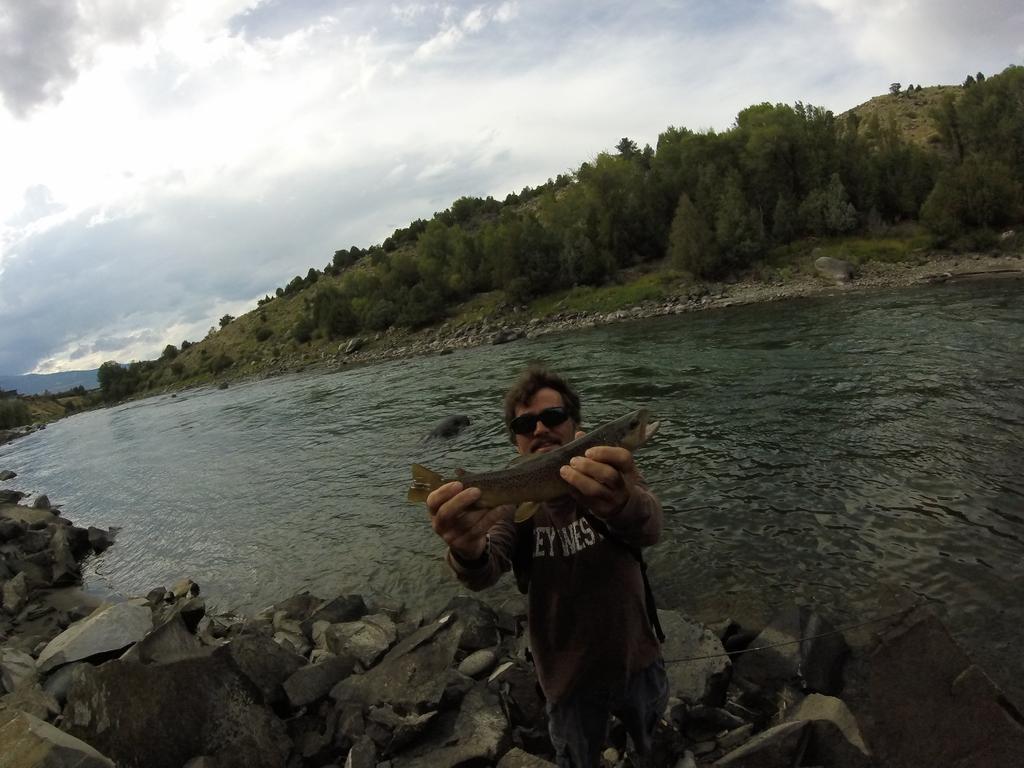 alexmoore174's tweet photo. Yellowstone River hogs http://t.co/JD0RkUSeRh