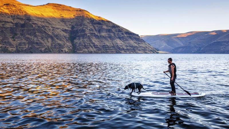 How to do your favorite sport with your dog: bit.ly/1Drh211