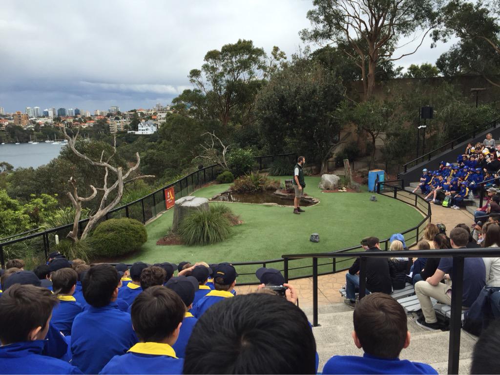 mitchell_rath's tweet photo. Fantastic excursion to the zoo yesterday to learn about rainforest animals!! And a few others! http://t.co/zRnpMJ7oiN
