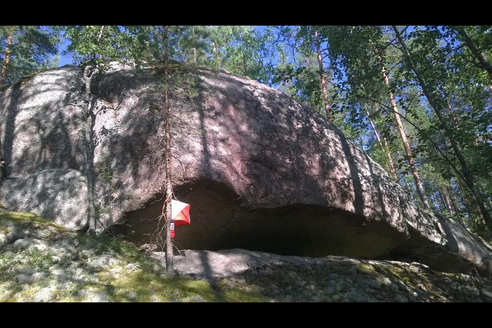 AKerkkonen's tweet photo. Tänään suunnaksi Ruonanvuoren priimamaastot! Maastossa hienoja kallioita ja hirveesti mustikkaa #jrv #iltarastit http://t.co/zAcRQqAJYf