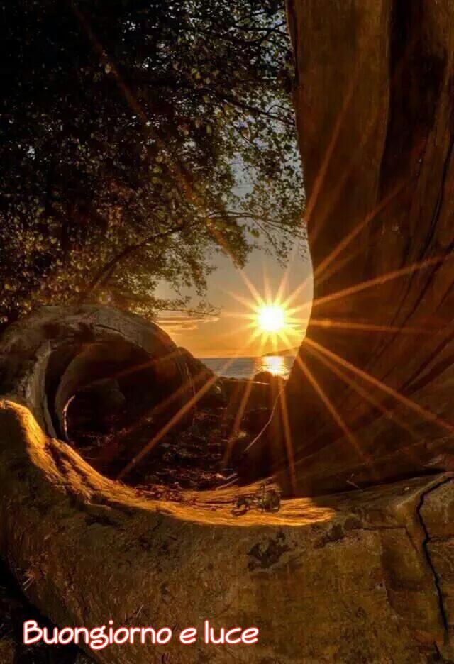 a70199617's tweet photo. Questo è il mondo,qui succedono cose belle è brutte,non abbiate paura #lottate per le cose belle e starete nella luce http://t.co/dmVGJAeGbK