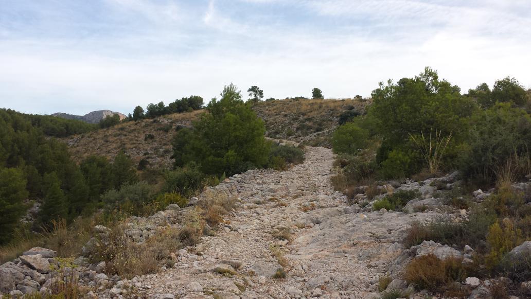 marta2martinez's tweet photo. ruta de buena mañana!! http://t.co/IY85vnFyDh