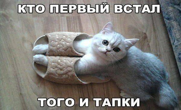Открытка, кто рано встает тому бог подает картинки прикольные